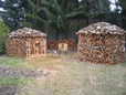 Erle und Pappelholz fr den nchsten Winter zur Holzmiete aufgestapelt