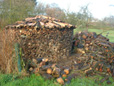 Brennholz Ernte aus der ffentliche Schlagraumversteigung